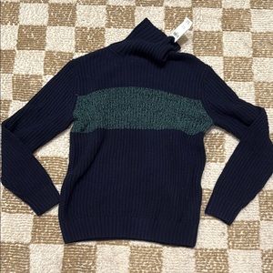 GAP Men's Navy and Green Sweater